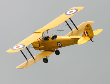 tigermoth_flight.jpg